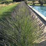Ferme Redouline - 3 Bedroom, Large Private Pool 別荘
