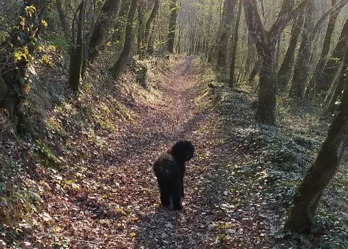 Ferme Redouline - 3 Bedroom, Large Private Pool *